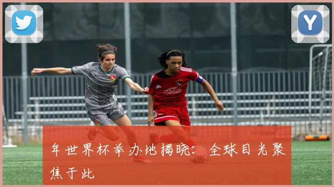 年世界杯举办地揭晓：全球目光聚焦于此
